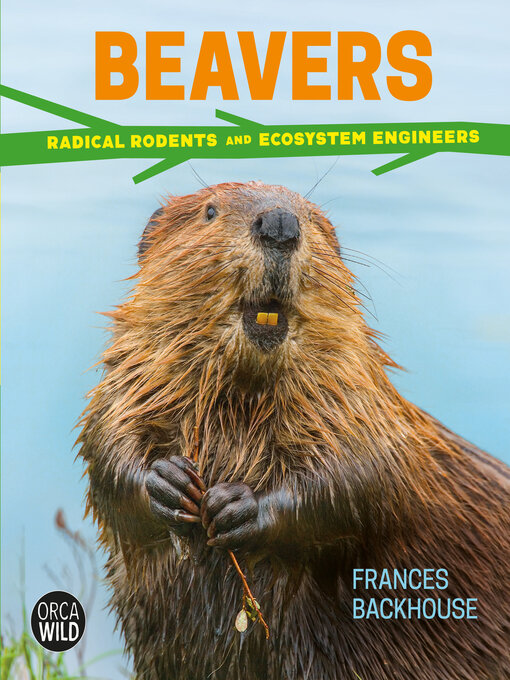 Cover image for Beavers